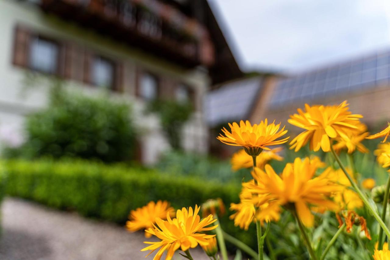 Ferienwohnung am Döttelbach Bad Peterstal-Griesbach Exterior foto