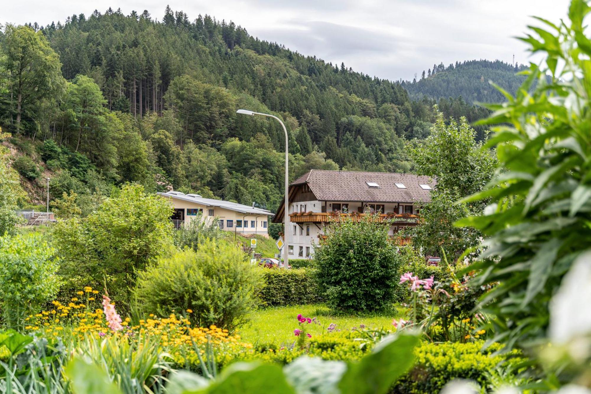 Ferienwohnung am Döttelbach Bad Peterstal-Griesbach Exterior foto